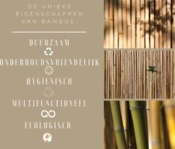 Snijplanken Hout - Bamboe - Set Duurzaam - Serveerplank - Snijplank - 38x28cm & 33x23,5cm - Keuken 9 Snijplanken Hout - Bamboe - Set Duurzaam - Serveerplank - Snijplank - 38x28cm & 33x23,5cm - Keuken -Home-Keuken 1200x1025 1