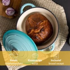 Chefarone Gietijzeren Pan - Braadpan Inclusief Deksel - Geschikt Voor Alle Warmtebronnen - Geëmailleerd Blauw 13 Chefarone Gietijzeren Pan - Braadpan Inclusief Deksel - Geschikt Voor Alle Warmtebronnen - Geëmailleerd Blauw -Home-Keuken 1200x1200 418