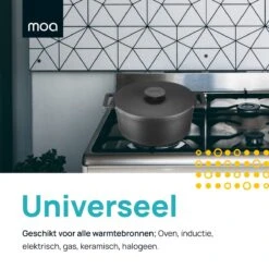 MOA Gietijzeren Braadpan - Inhoud 7,1 Liter - 29CM - Rond - Alle Warmtebronnen - Ook Voor Inductie - Gewicht 7,6 Kg - Zwart - MC29B -Home-Keuken 1200x1200 58