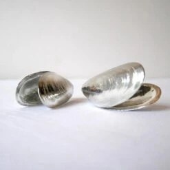 Het Zeeuws Mosselbestek -Home-Keuken 1200x1200 673