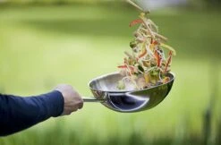 Demeyere Senses 5 RVS Wokpan - Inductie - 30 Cm – PTFE En PFAS Vrij -Home-Keuken 1200x786