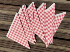 Papieren Frietzak - 30 Stuks - Kleine Patat Maat K14 - Boerenbont - Rode Ruitjes - Puntzak - Patatzak - Traktaties -Home-Keuken 1200x900 123