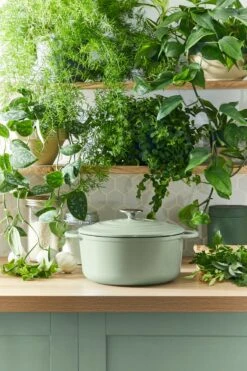 Tefal LOV Braadpan - 5L - Ø25 Cm - Groen -Home-Keuken 800x1200